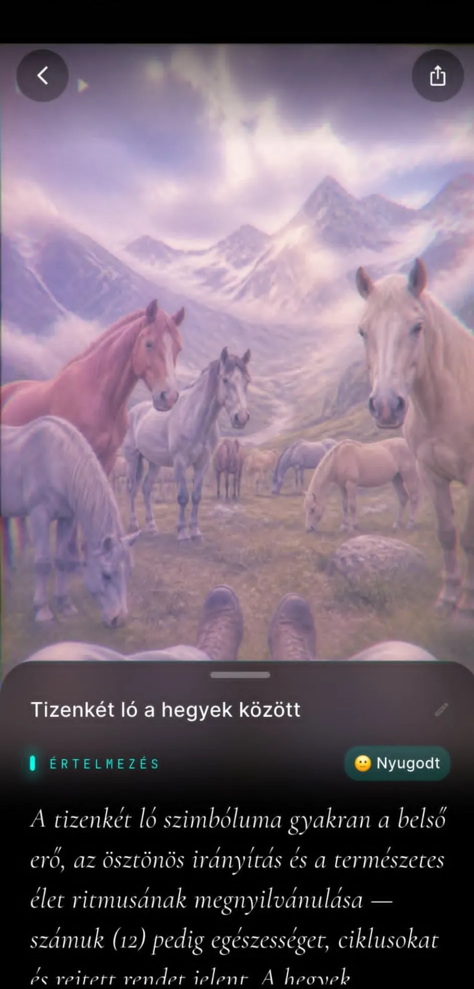 ViviDream 3. képernyőkép